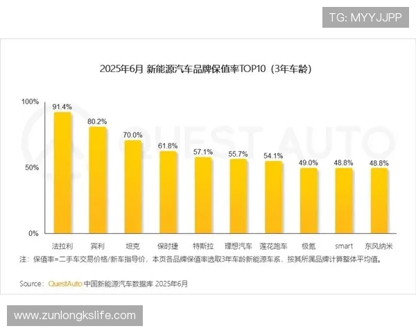 中国尊龙集团在新能源产业中的创新技术应用与市场竞争优势