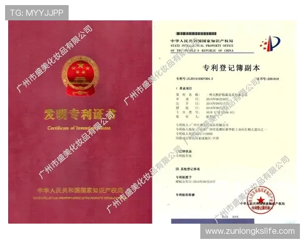 掌握尊龙凯时地址登录入口的实用攻略与建议