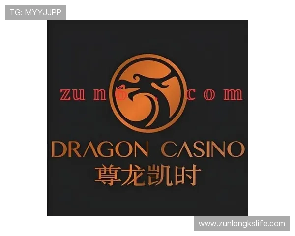 尊龙凯时官方入口安全保障措施，确保您的账户信息绝对安全