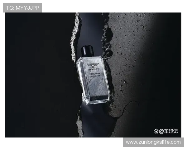 探索尊龙人生背后的故事，带你踏上全新旅程