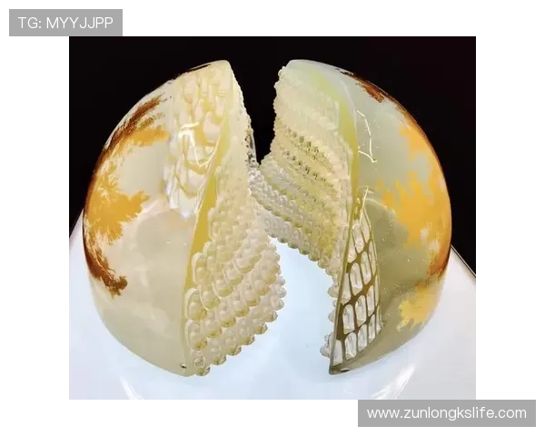 尊龙凯时人生就是搏网址带你全面了解游戏人生的真实体验与成功秘诀