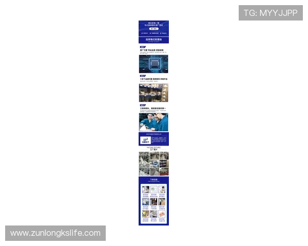 尊龙备用网址专业的技术团队，持续优化平台性能提升用户体验